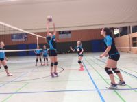 volley (12)